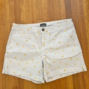 Market & Spruce lemon shorts size 6
